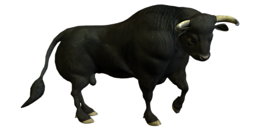 Uttarakhand Uttarakhand Animals | Dictionary Bull