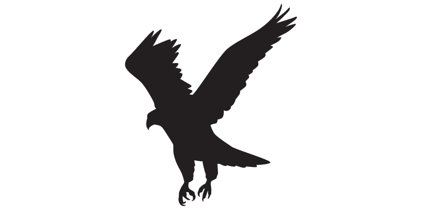 Uttarakhand Birds Eagle